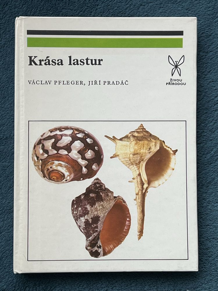 Krása lastur; Václav Pfleger, Jiri Pradáč; 1981 r