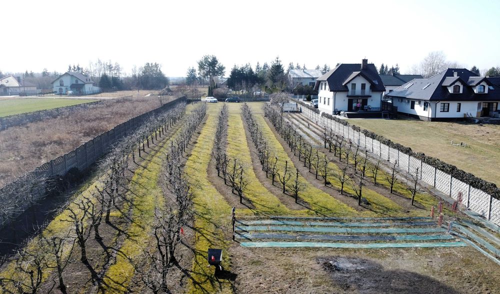 Działka rolno-budowlana 6600m2, gmina Skierniewice, Mokra