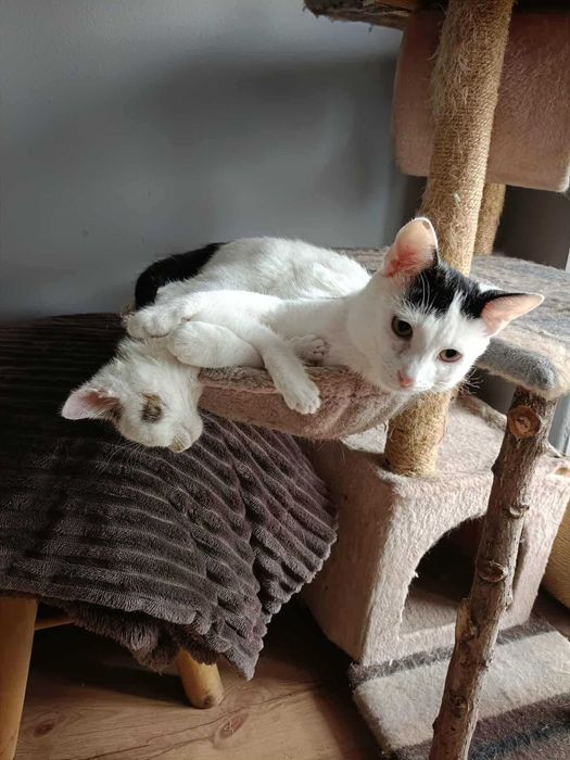 Dom Stałego dla Kacpra