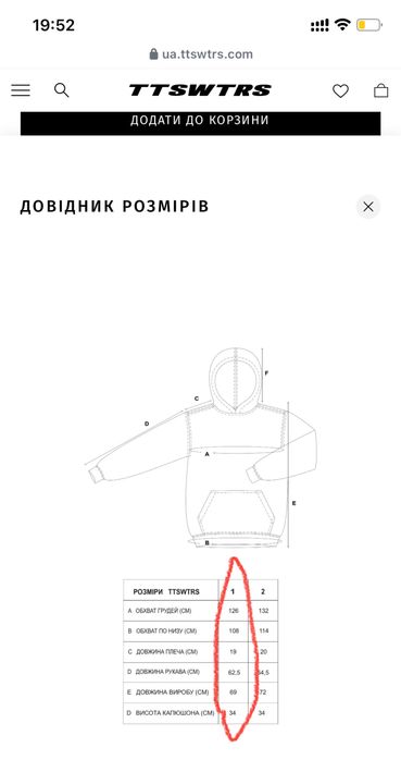 Худі від українського бренду ttswtrs