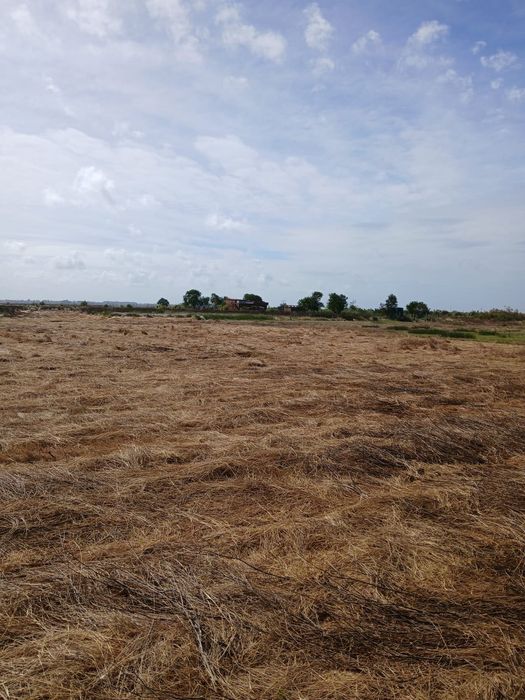 Terreno rústico com vista para a ria.