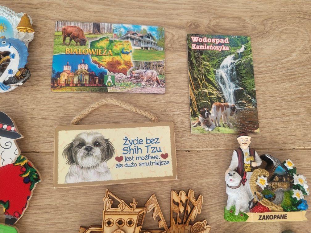 Magnesy POLSKA Zakopane Darłówko Olsztyn Białowieża Dzwizyno