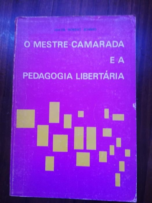 O Mestre-Camarada e a Pedagogia Libertária