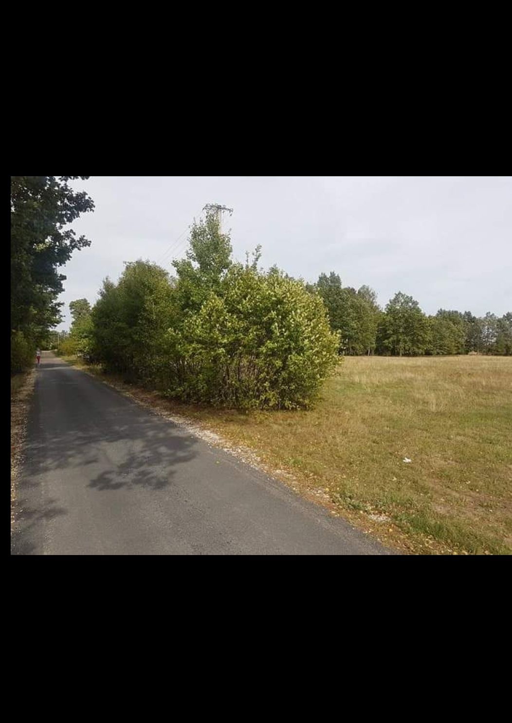 Ziemia rolna , łąka. Sówki gm.Rusiec. 1.8 ha lub 2.3 ha.