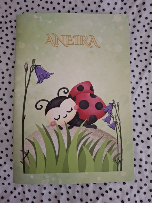 Zeszyt Biedronka - 32k w kratkę