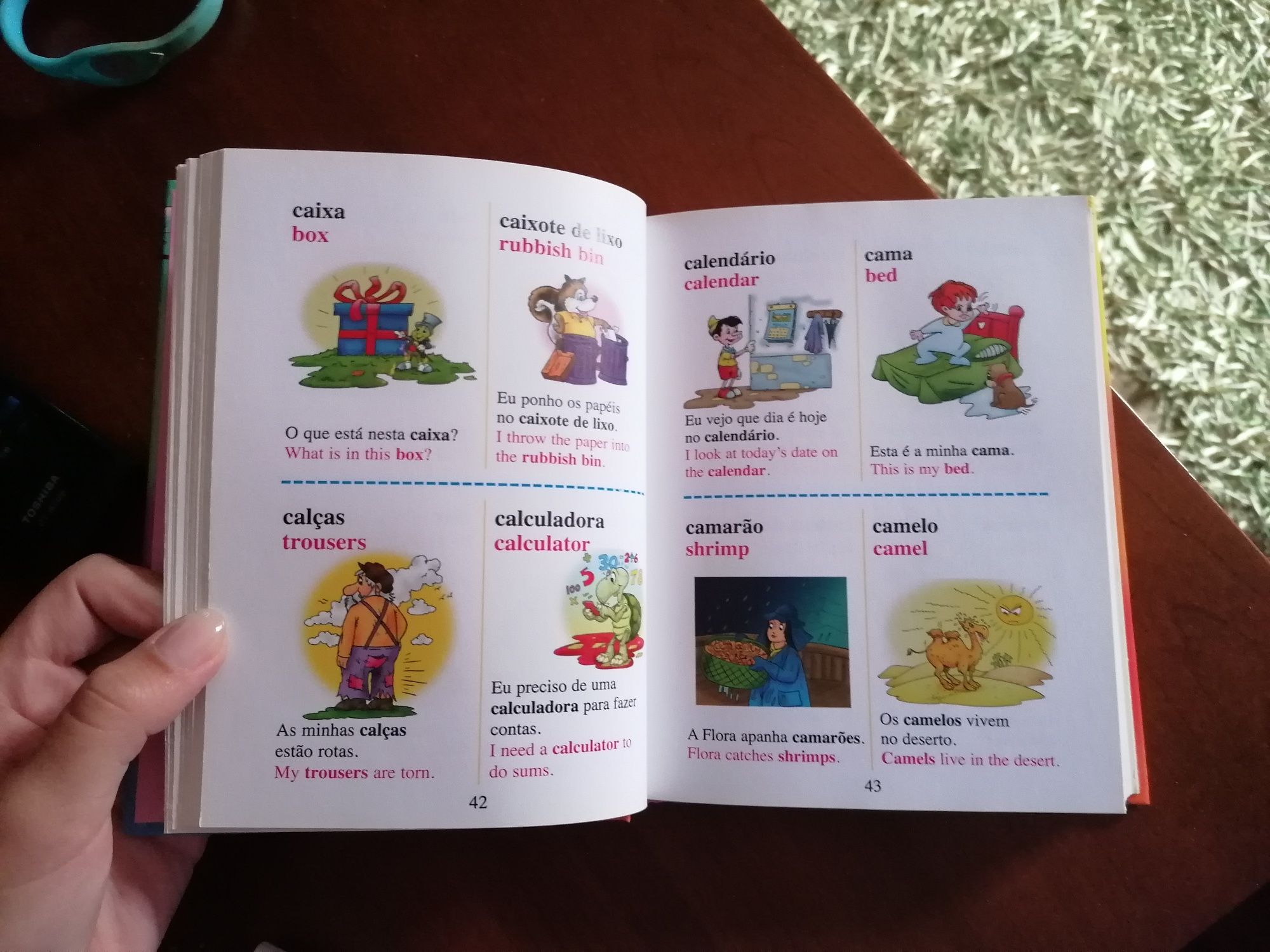 Dicionário Português-Inglês com ilustrações