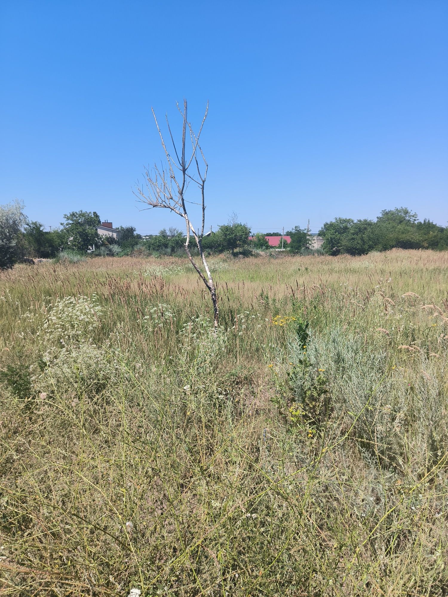Продам ділянку землі у Краснопіллі