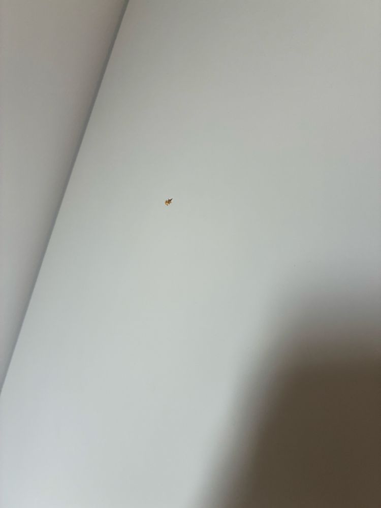 Szafa ikea SONGESAND stan bardzo dobry