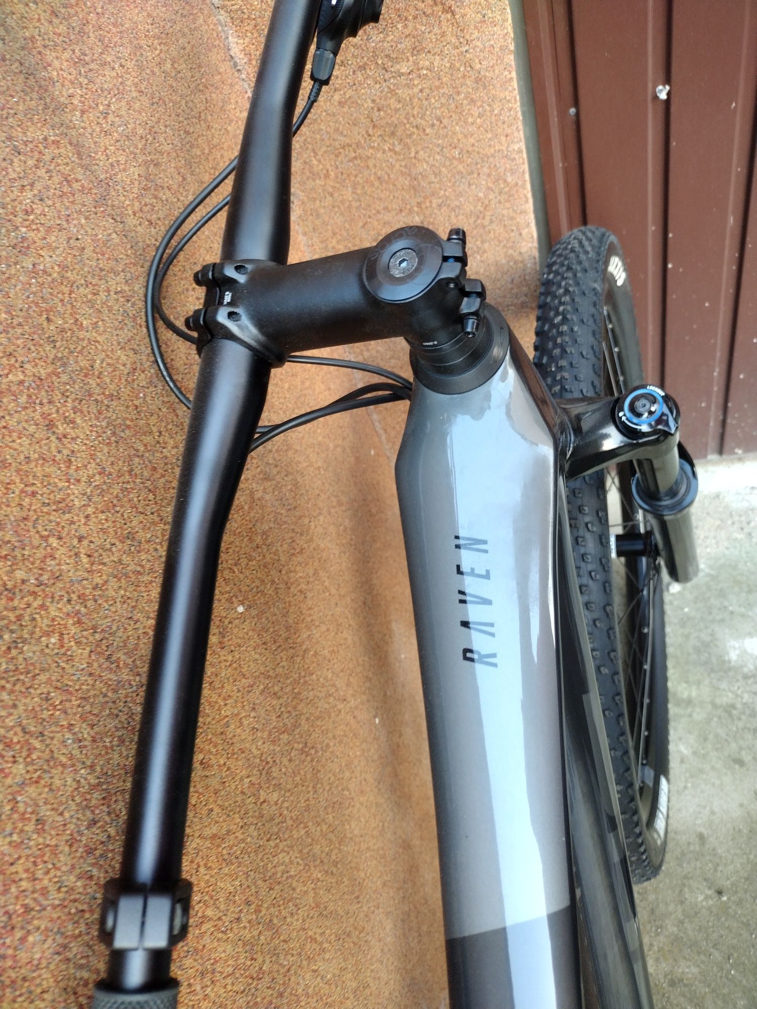 Focus Raven 8.6 carbon. Karbonowa rama