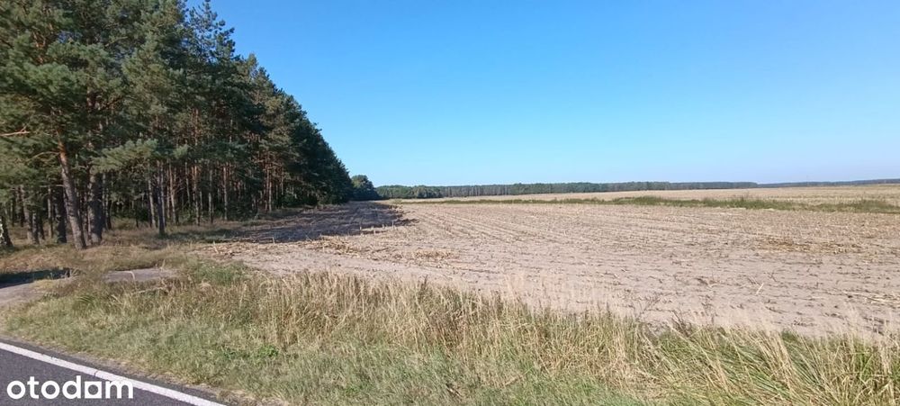 Duża piękna działka budowlana. Bory Tucholskie. Promocyjna cena!