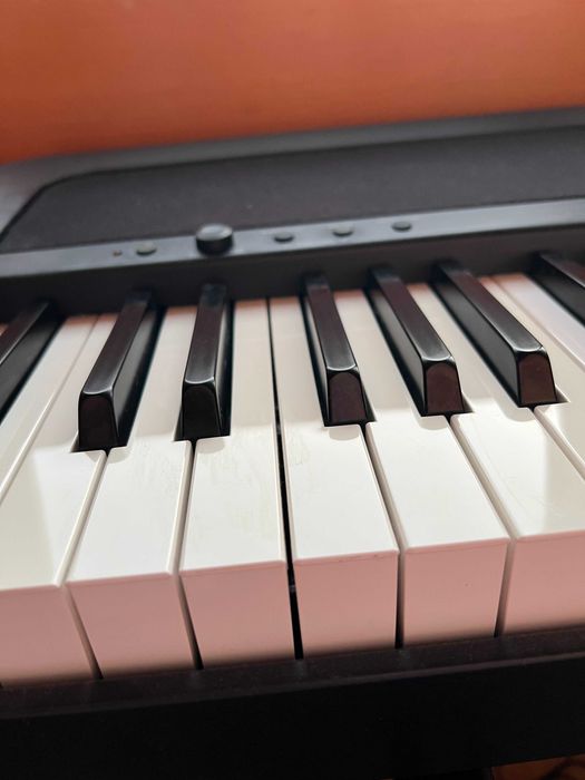 Korg B2 Digital Piano com pedal Korg PU-2