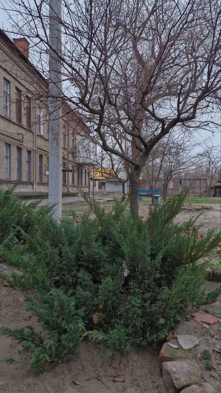 Продам квартиру 3 к ж/м  Северный