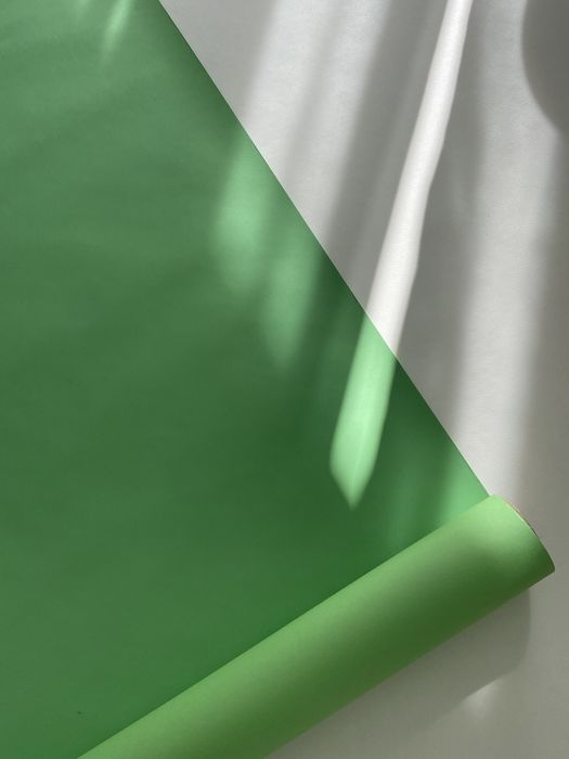 Tło fotograficzne zielone mint green