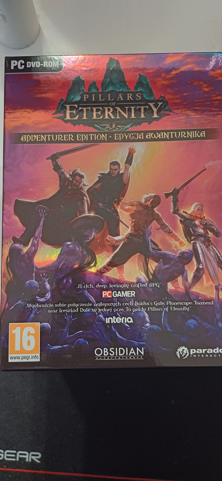 Pillars of eternity edycja awanturnika PC poradnik mapa