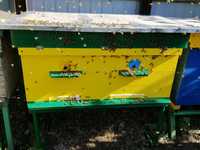 Продам пчел. Рамки пчелиные
