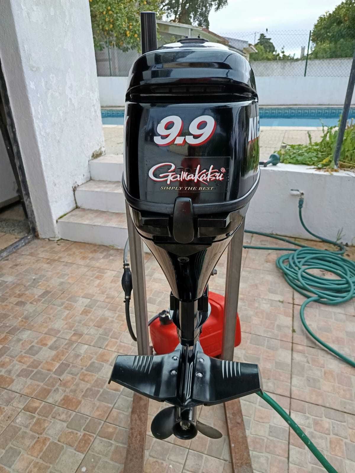 Motor Mercury 9.9