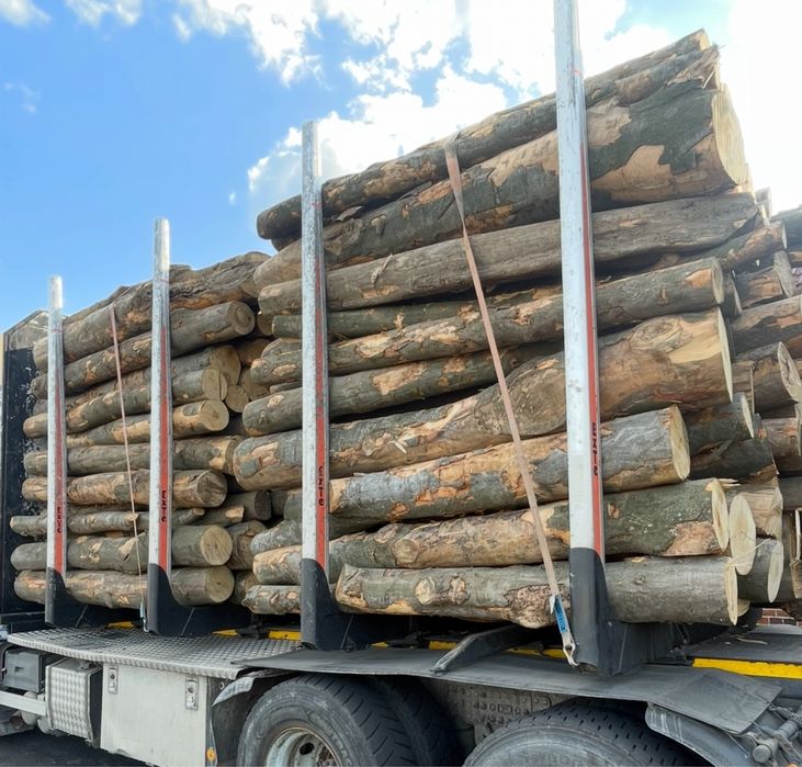Buk opałowy, cena z transportem.