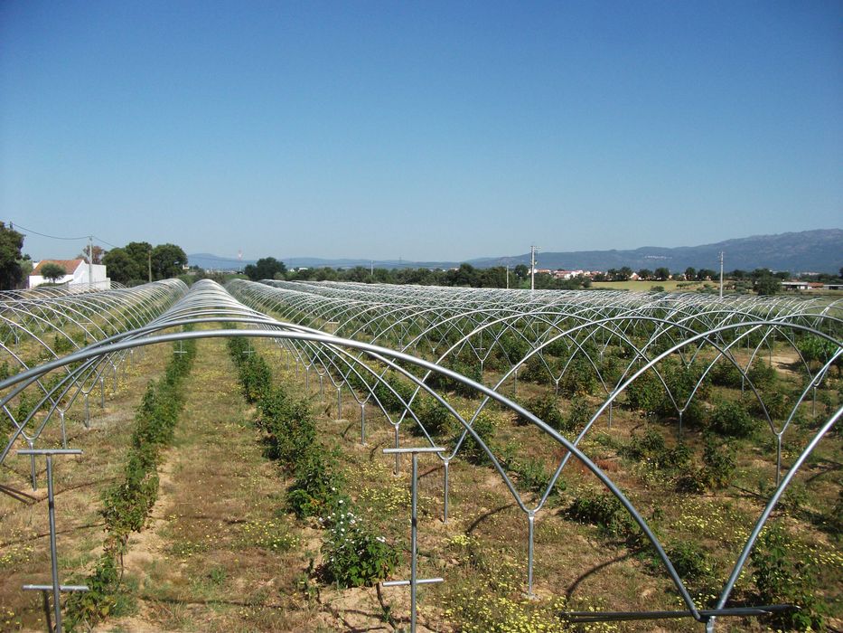 Estruturas metalicas e estufas agricolas