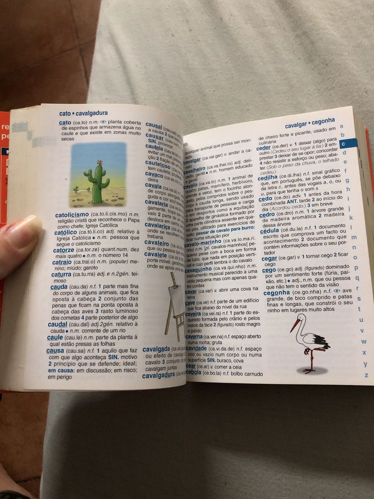Dicionario escolar