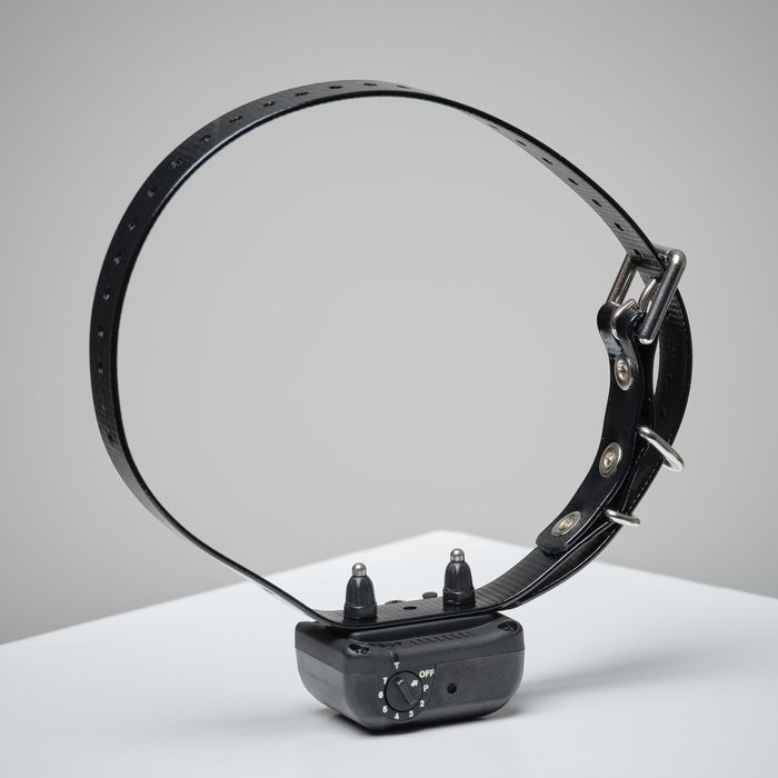 Coleira Antilatidos de Cão de Caça Dogtra YS 300