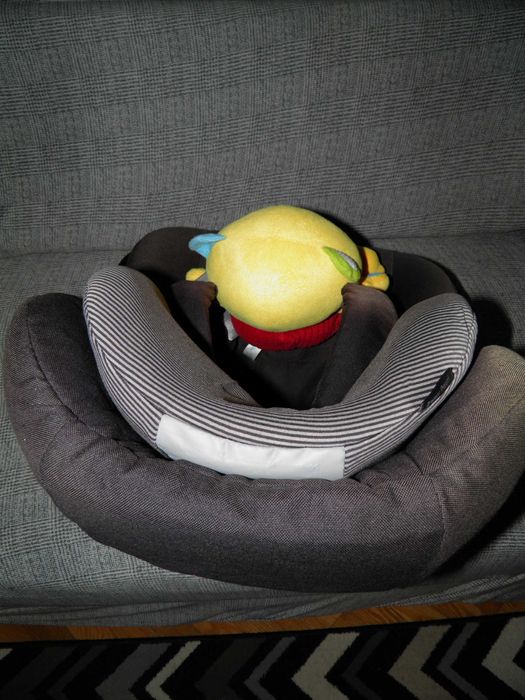 Cadeira de bébé auto 2wayPearl + Base 2wayfix