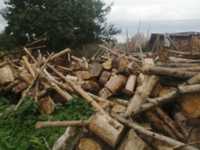 Drewno opałowe (Podsuszone) Dowóz gratis