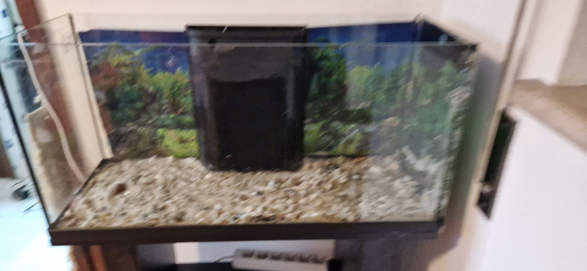 Aquário com movel 80 cm