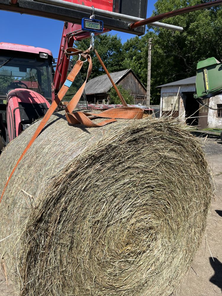 Suche siano duzy balot siatka (szybka dostawa 8/10 szt)