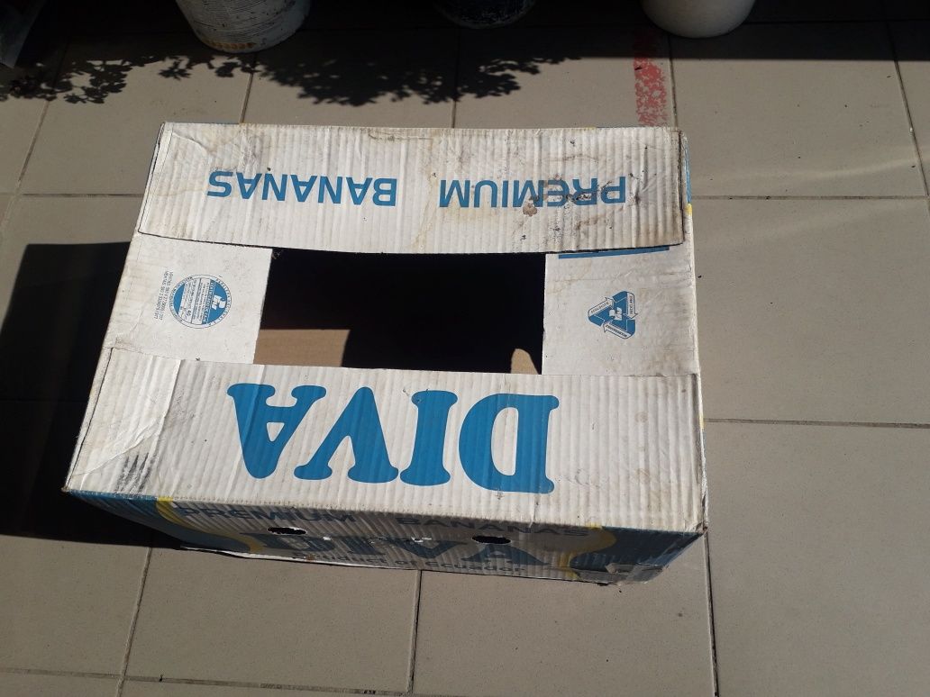 Ящик банановий, сухий