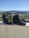 Botas alpinestars