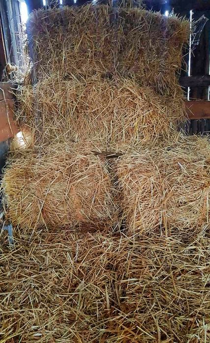 Продам солому в тюках