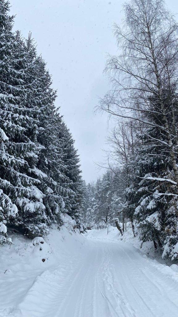 Drewniany domek w górach w pobliżu Zawoi, weekend , ferie w górach