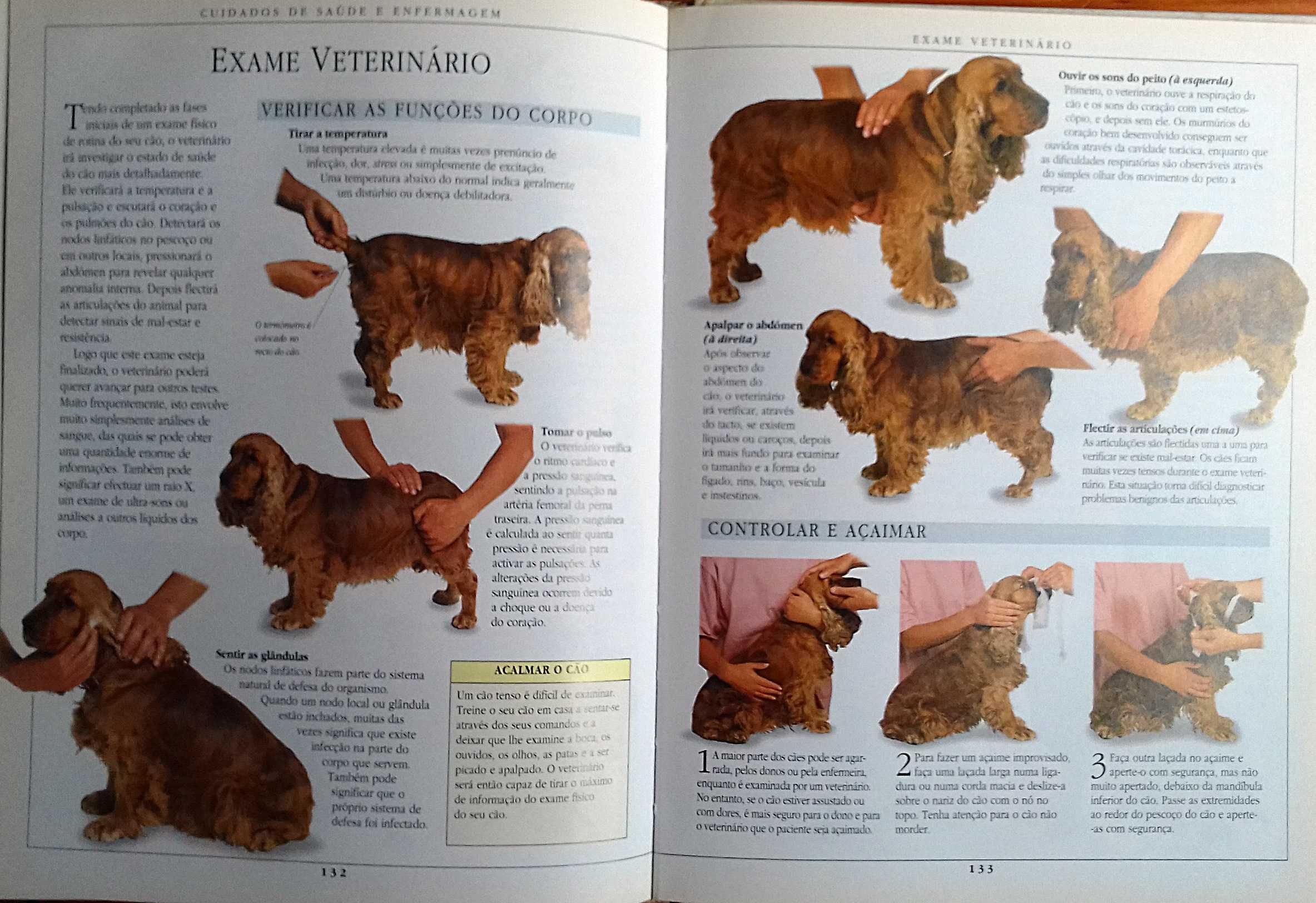 Dr Bruce Fogle. Manual de Tratamento de Cães. Ilustrado. Inclui portes