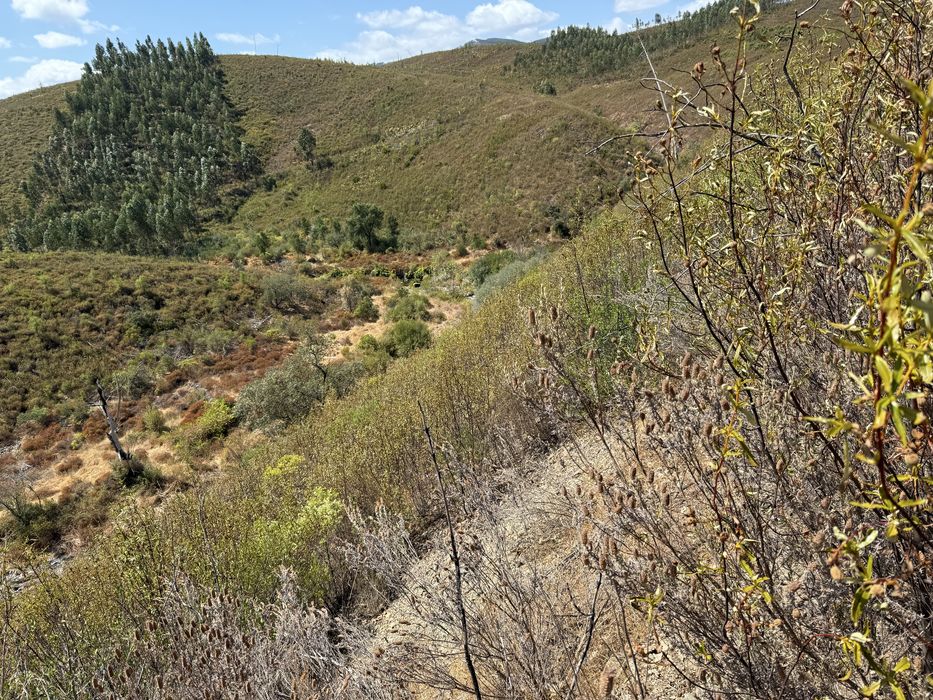 Terreno Rustico com acesso por estrada