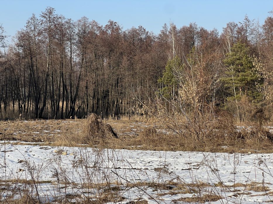 Земля 6гек Пуховка начало Лес свет газ асфальт интернет