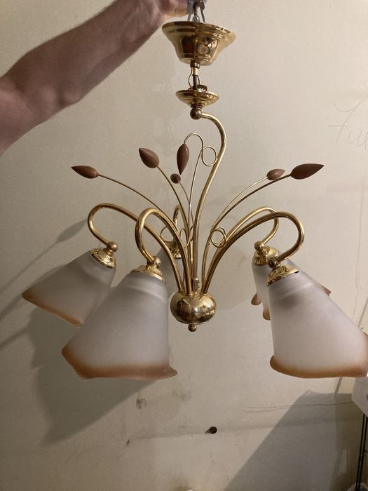 Люстра з плафонами на пʼять ламп