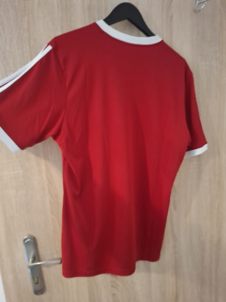 Koszulka Adidas.