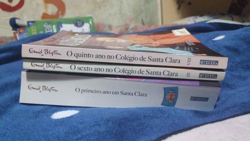 Alguns livros da Coleção as gêmeas