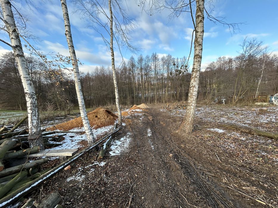 Usługi Ogrodnicze Koszenie Traw Wycinka Drzew/sadowCzyszczenie działek