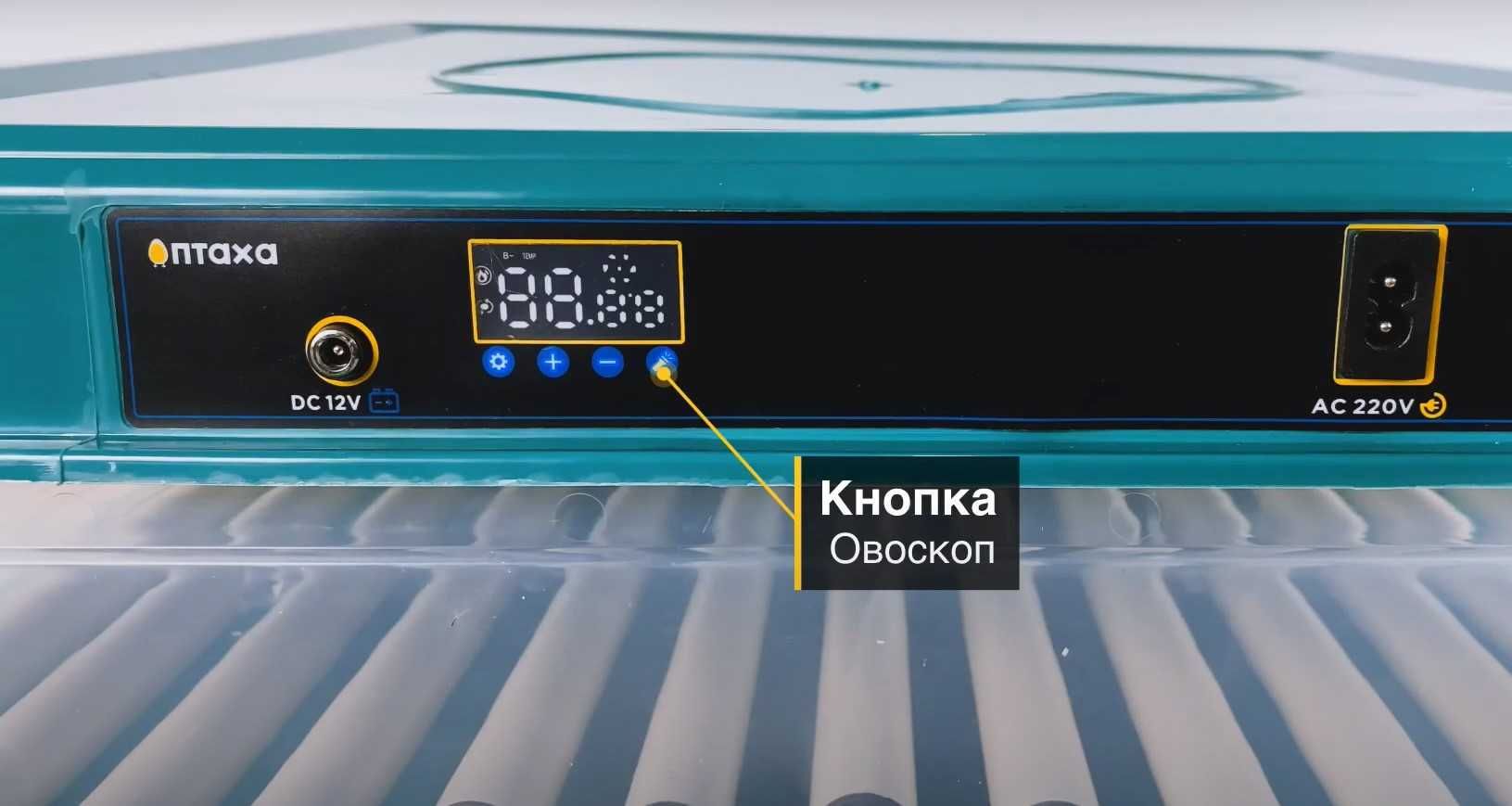 Распродажа ! Инкубатор автоматический 12/220В. Інкубатор Птаха 130 яиц