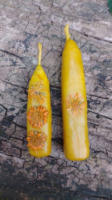 Свічки з бджолиного воску з травами ліплені вручну