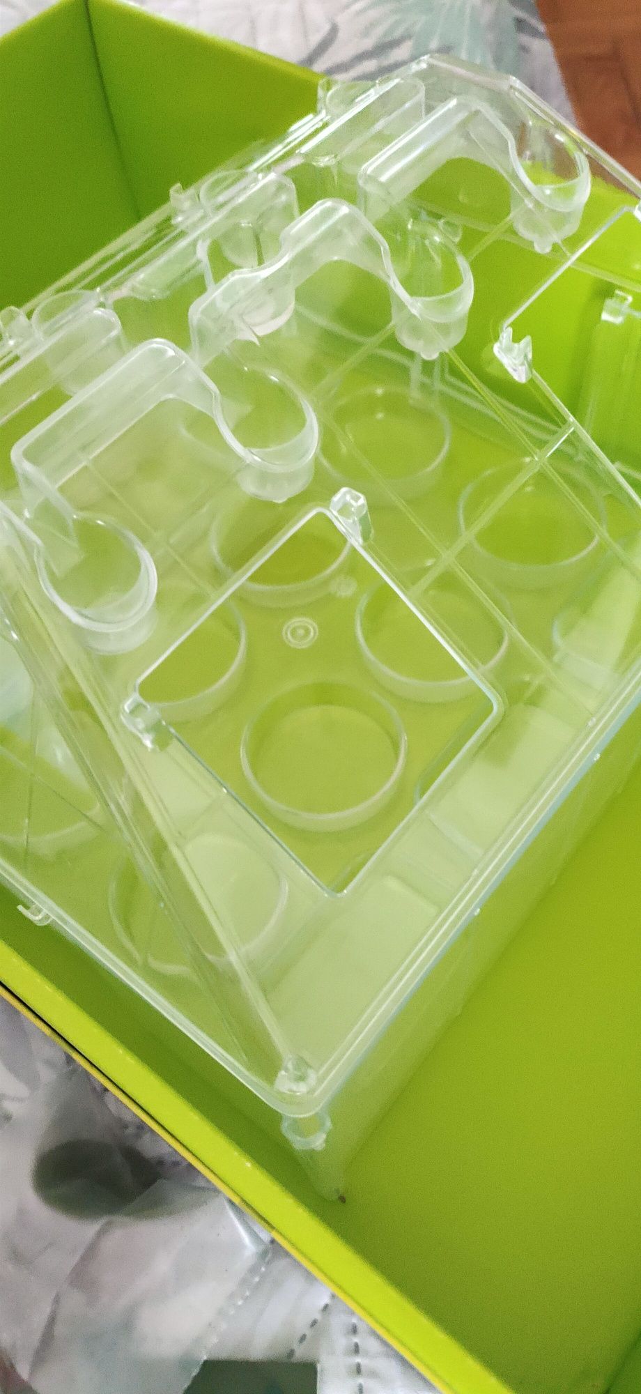 Jogo ciência na estufa