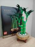 lucky bamboo / dracena sandera 10344 lego