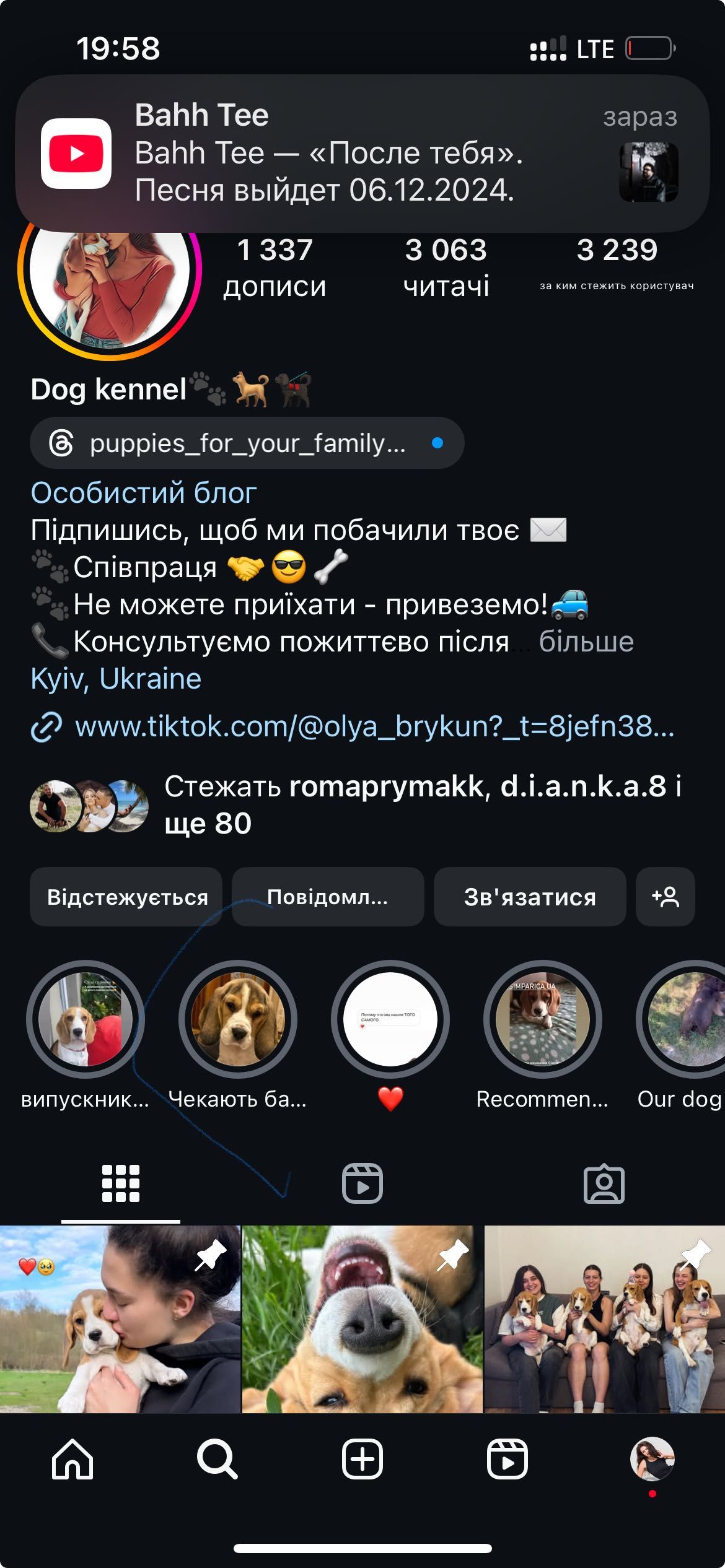 Вуханчики біглюші. Дівчатка. Триколор.Розплідник.Доставка