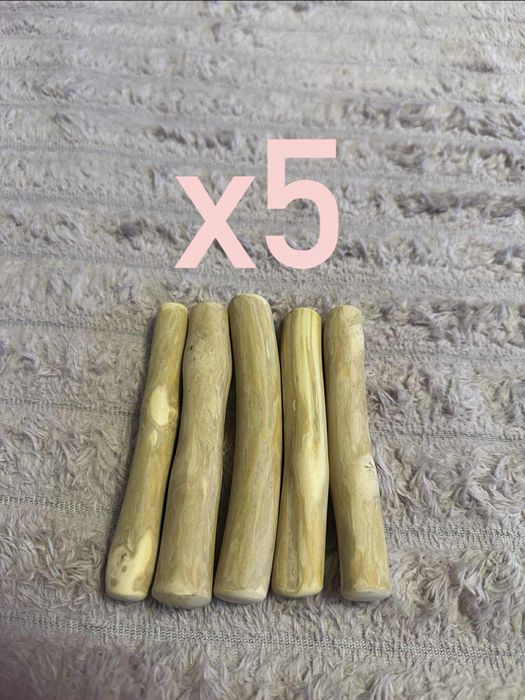 x5 Patyk z Drzewa Kawowego Naturalny Gryzak dla Psa XS