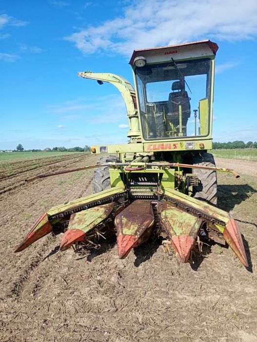 Sieczkarni do kukurydzy Claas jaguar 80sf