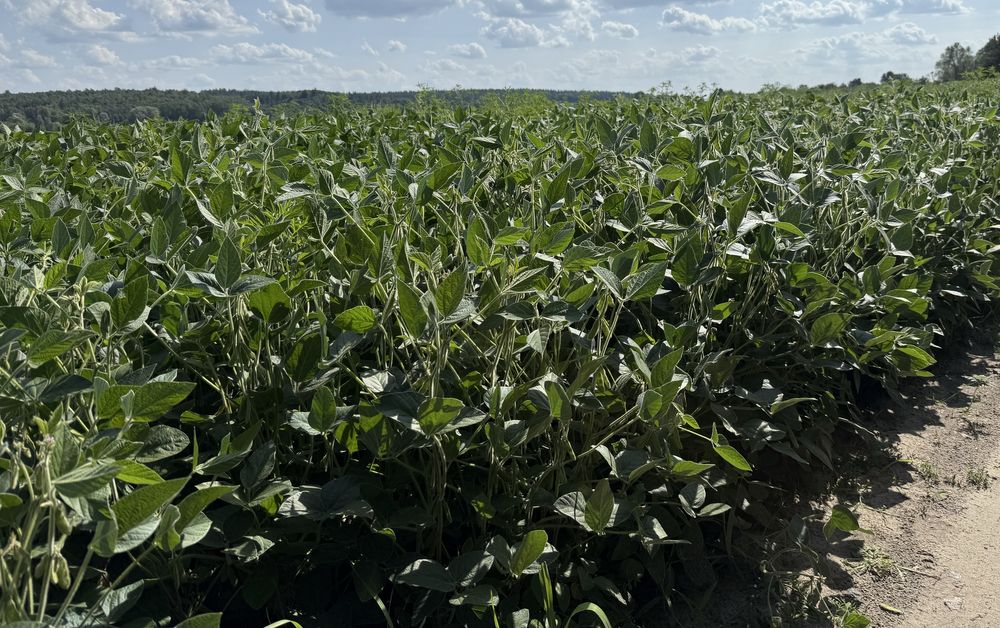 Продаж! Аграрної землі 10 000 тисяч ГА,  Висока бальність, У власності