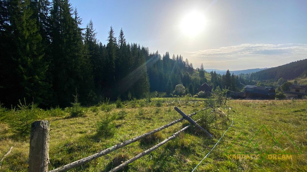 Продаж ділянки, межує з лісом