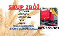 Skup zbóż, skup zboża, jęczmień Owies pszenżyto żyto pszenica - pompą
