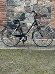 Rower Koga Roadspeed